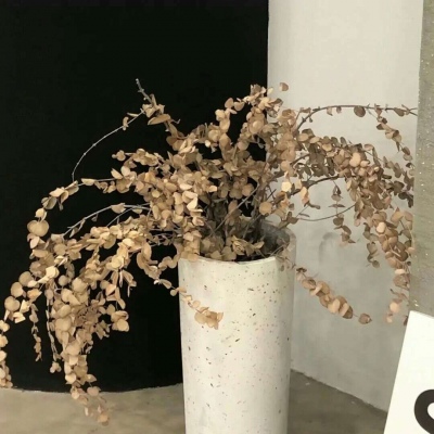 Furry绘画改稿灵感福瑞交流群